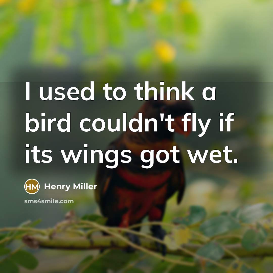 “I used to think a bird couldn't fly if its…” quote by Henry Miller