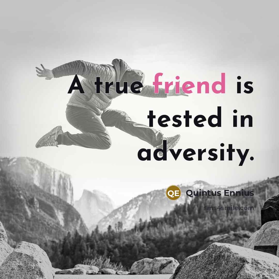 “A true friend is tested in adversity.…” quote by Quintus Ennius
