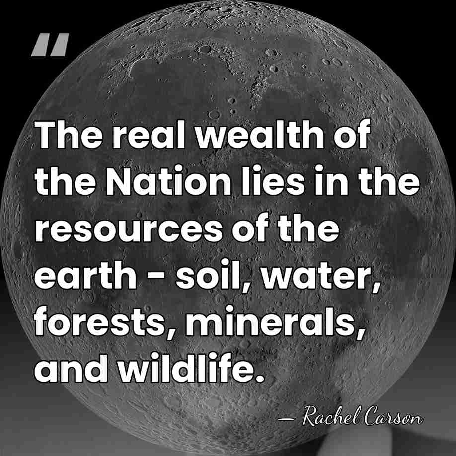 The real wealth of the Nation lies in the resources of the&hellip; - Rachel Carson