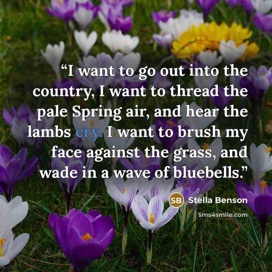 “I want to go out into the country, I want to thread the pale Spring air, and hear the lambs cry. I want to brush my face against the grass, and wade in a wave of bluebells.” quote by Stella Benson