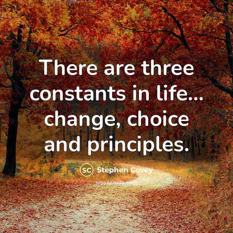 “There are three constants in life... change, choice and principles.…” quote by Stephen Covey