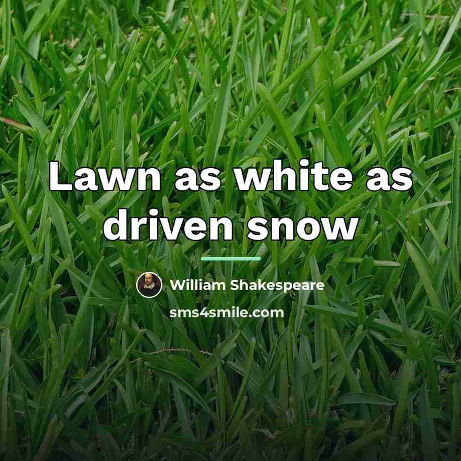 “Lawn as white as driven snow…” quote by William Shakespeare