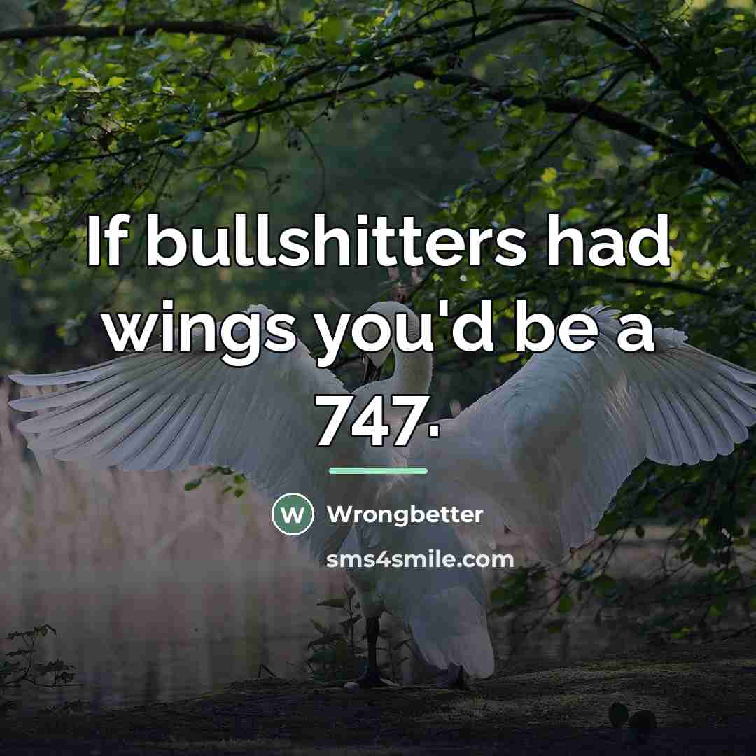 “If bullshitters had wings you'd be a 747.…” quote by Wrongbetter