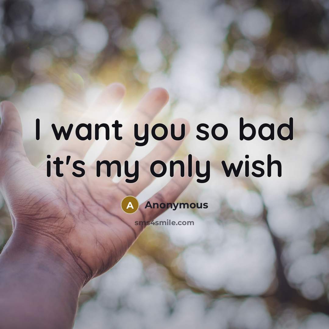 “I want you so bad it's my only wish…” quote by Anonymous