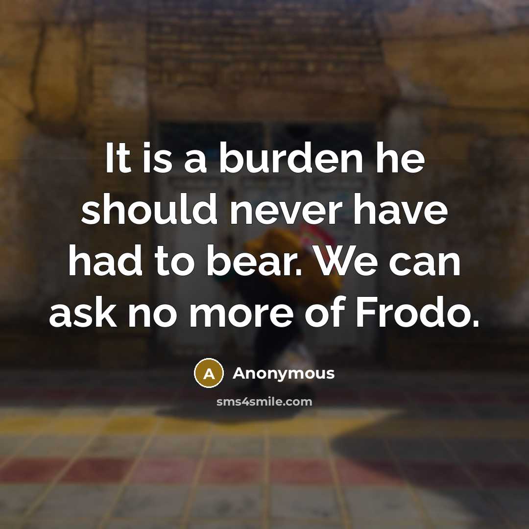 “It is a burden he should never have had to bear. We can ask no more of Frodo.” quote by Anonymous