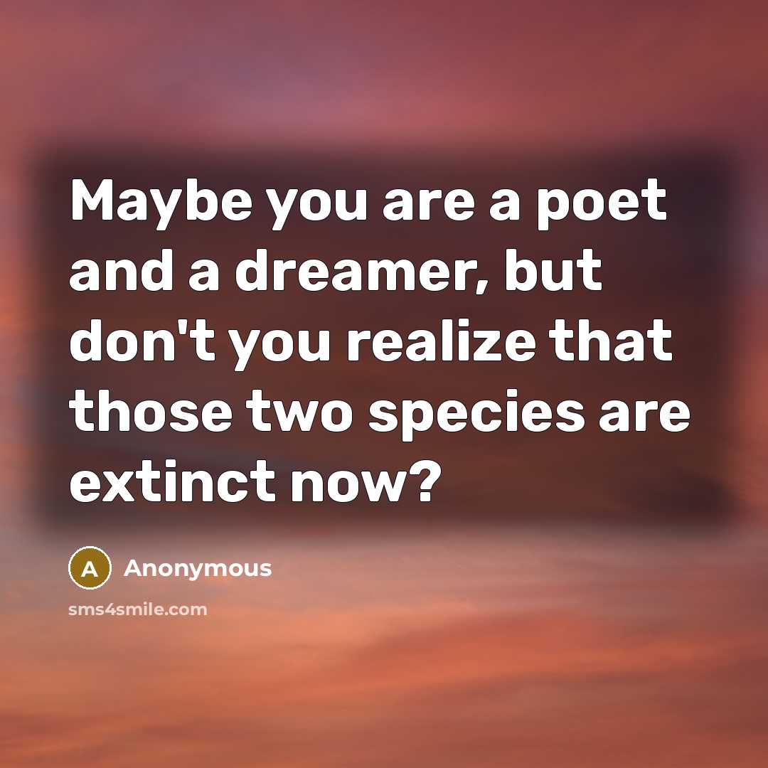 “Maybe you are a poet and a dreamer, but don't…” quote by Anonymous