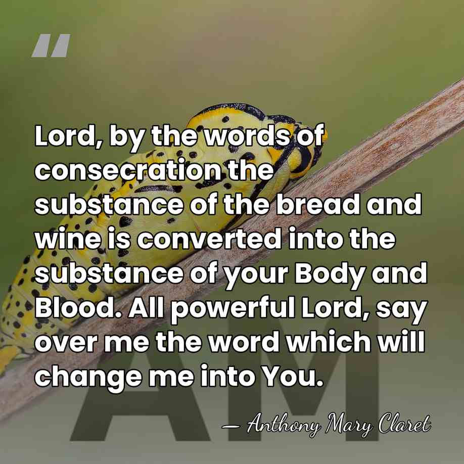 Lord, by the words of consecration the substance of the bread and&hellip; - Anthony Mary Claret