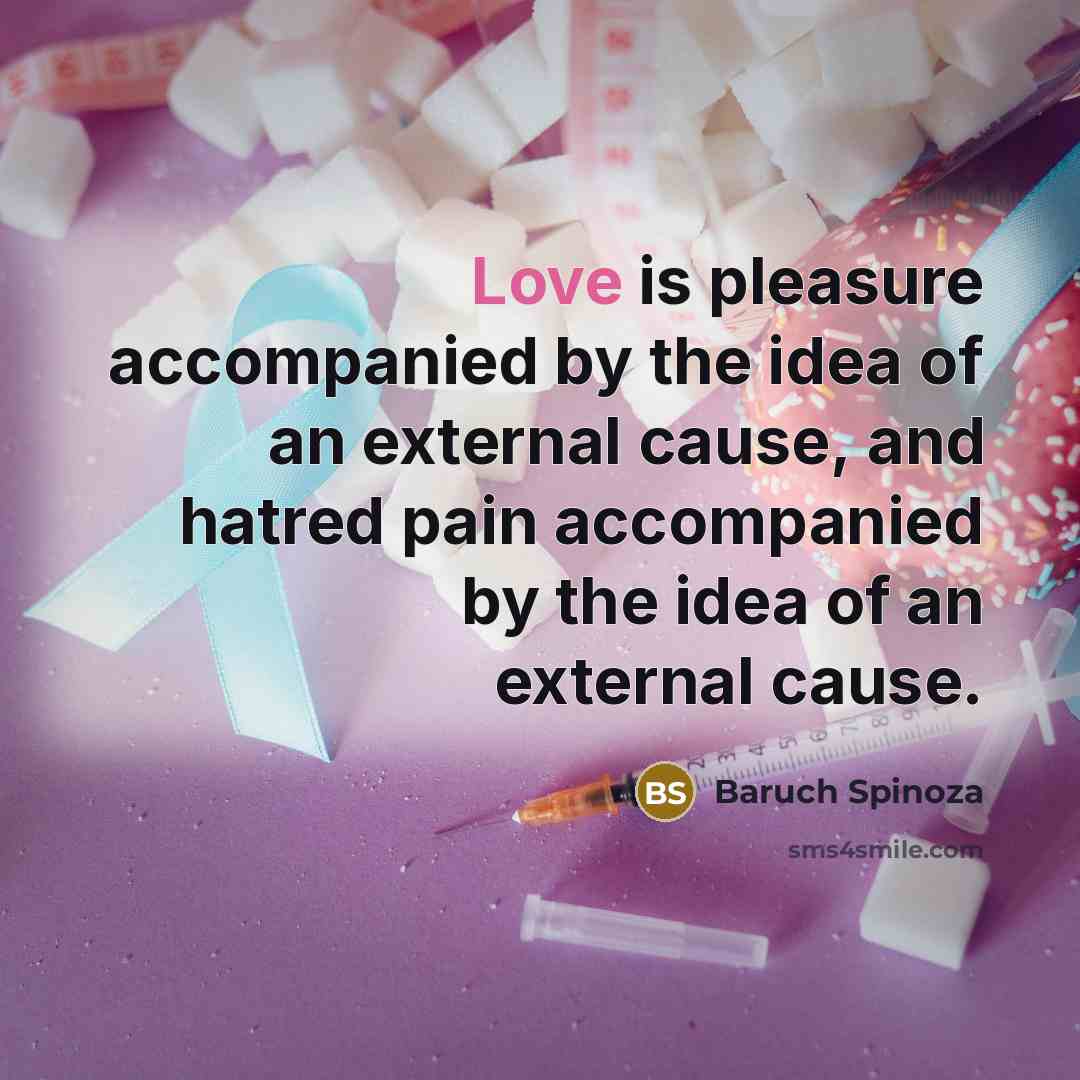 “Love is pleasure accompanied by the idea of an external…” quote by Baruch Spinoza