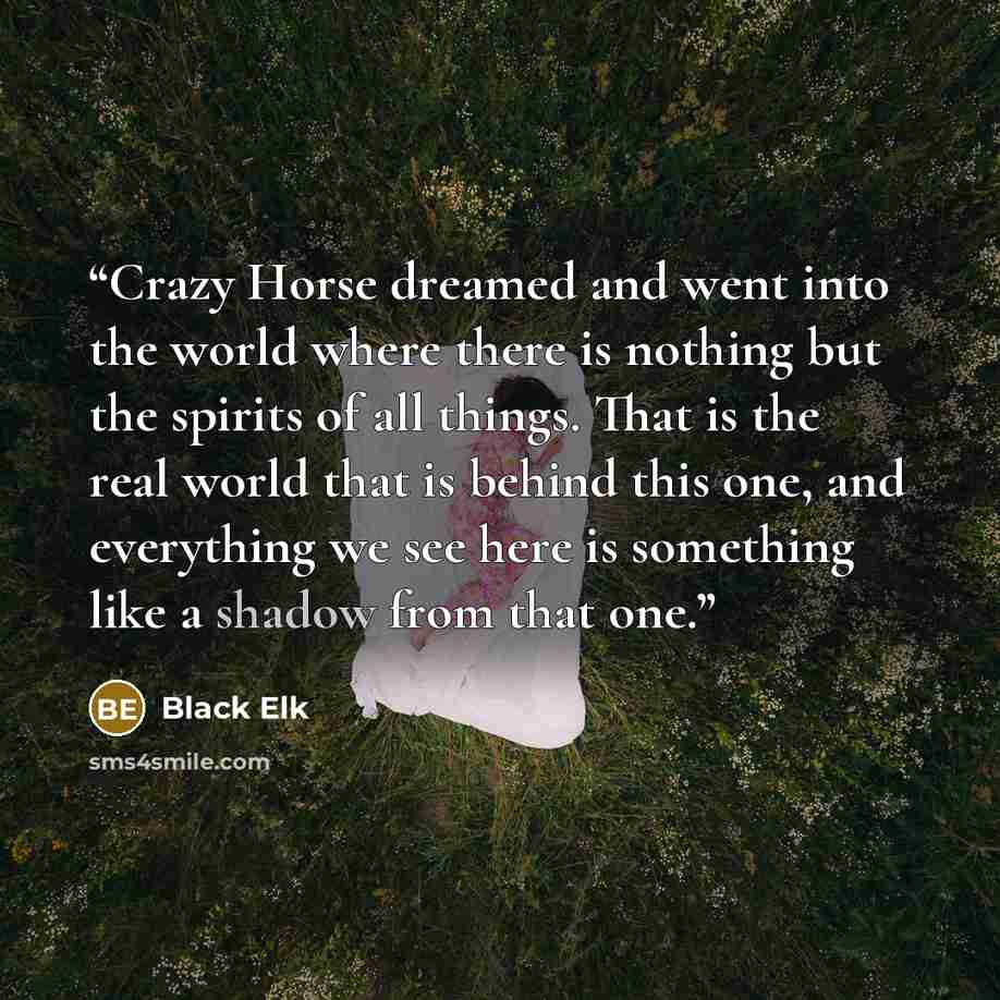 “Crazy Horse dreamed and went into the world where there is nothing but the spirits of all things. That is the real world that is behind this one, and everything we see here is something like a shadow from that one.” quote by Black Elk