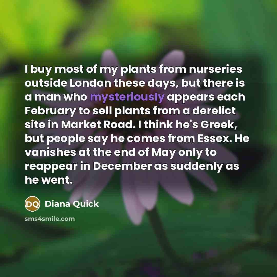 “I buy most of my plants from nurseries outside London…” quote by Diana Quick