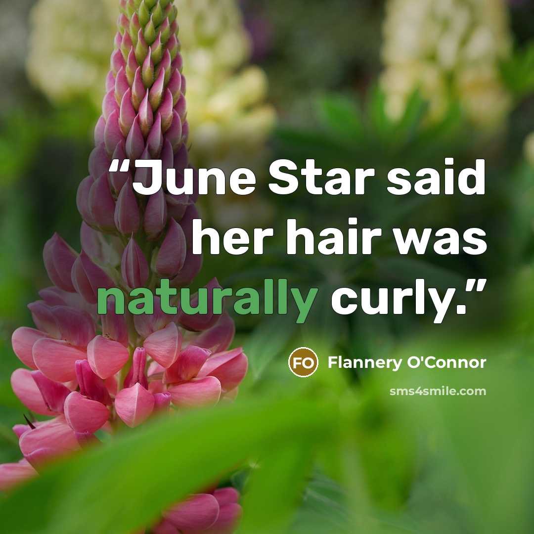 “June Star said her hair was naturally curly.” quote by Flannery O'Connor