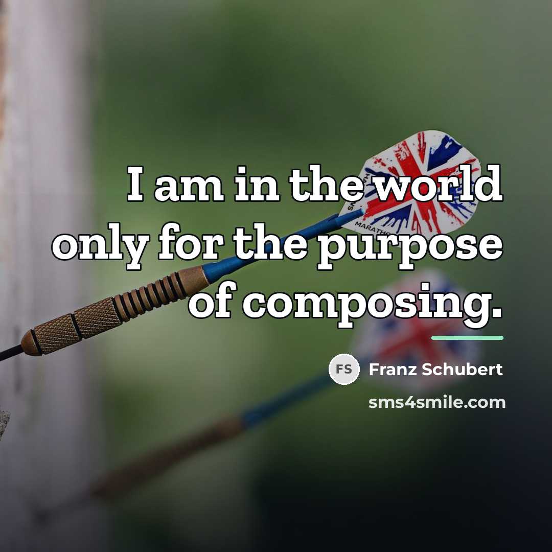 “I am in the world only for the purpose of…” quote by Franz Schubert