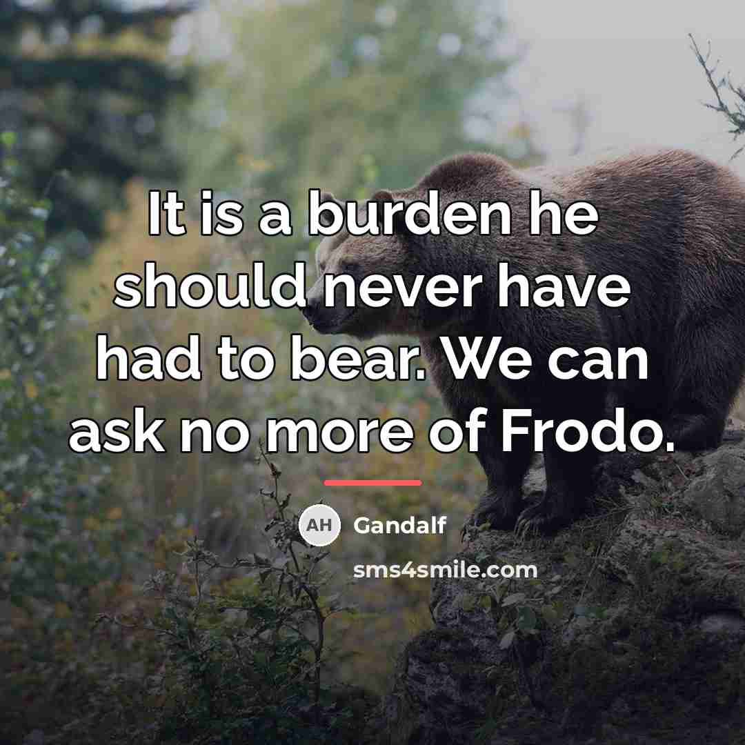 “It is a burden he should never have had to…” quote by Gandalf