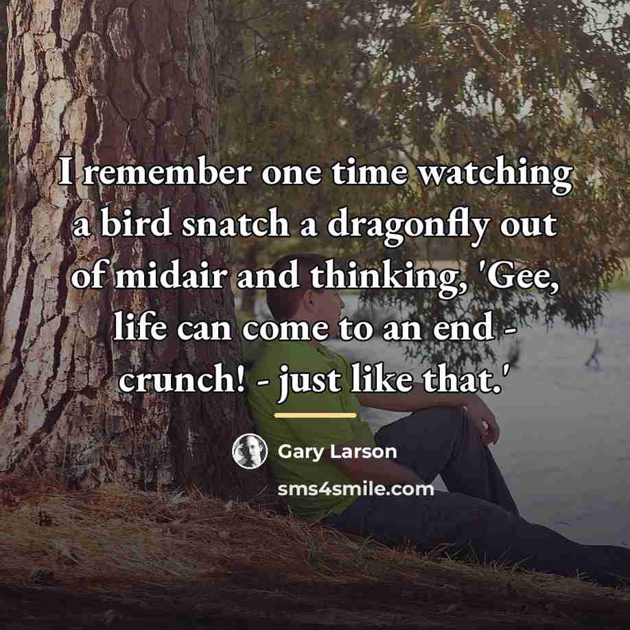 “I remember one time watching a bird snatch a dragonfly…” quote by Gary Larson