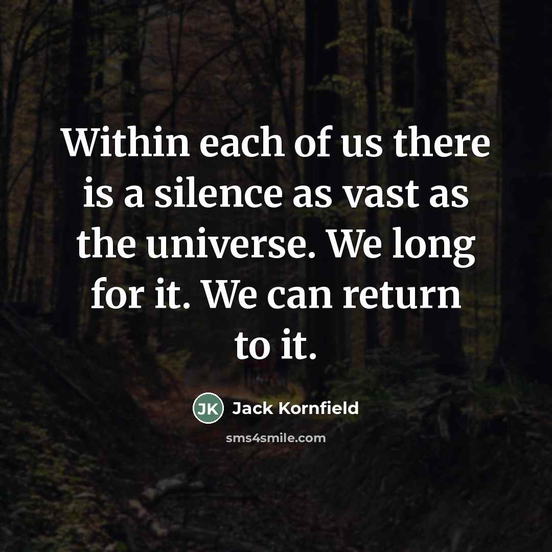 “Within each of us there is a silence as vast…” quote by Jack Kornfield