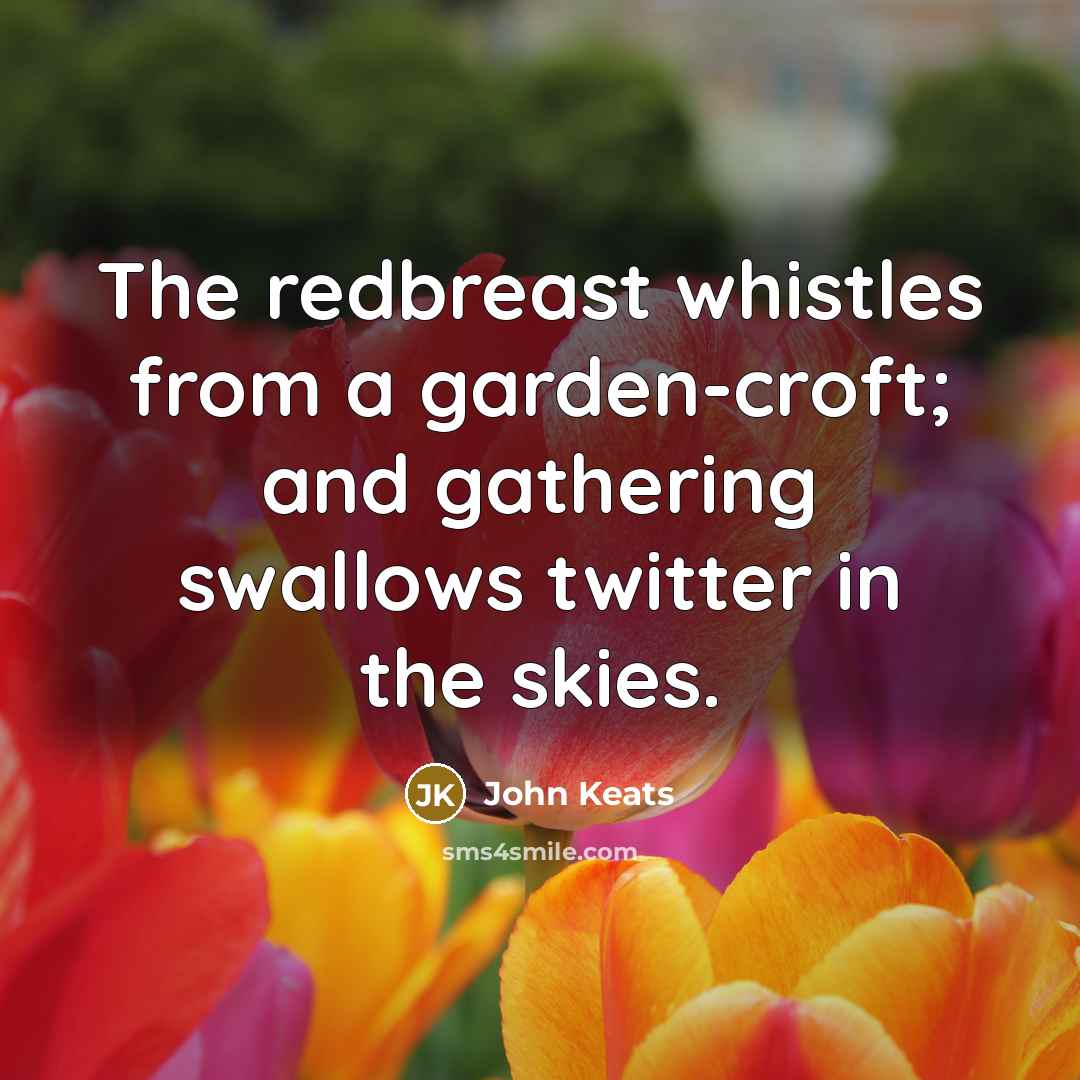 “The redbreast whistles from a garden-croft; and gathering swallows twitter…” quote by John Keats