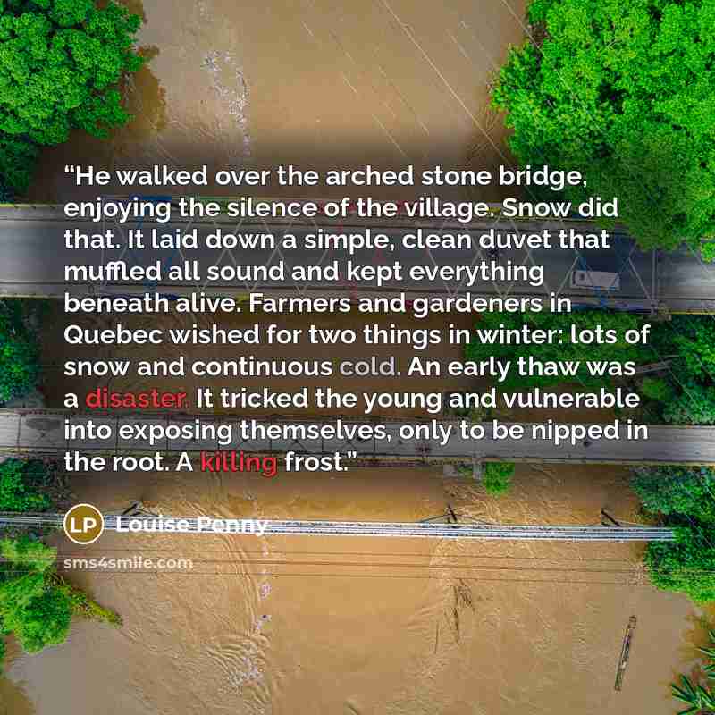 “He walked over the arched stone bridge, enjoying the silence of the village. Snow did that. It laid down a simple, clean duvet that muffled all sound and kept everything beneath alive. Farmers and gardeners in Quebec wished for two things in winter: lots of snow and continuous cold. An early thaw…” quote by louise penny
