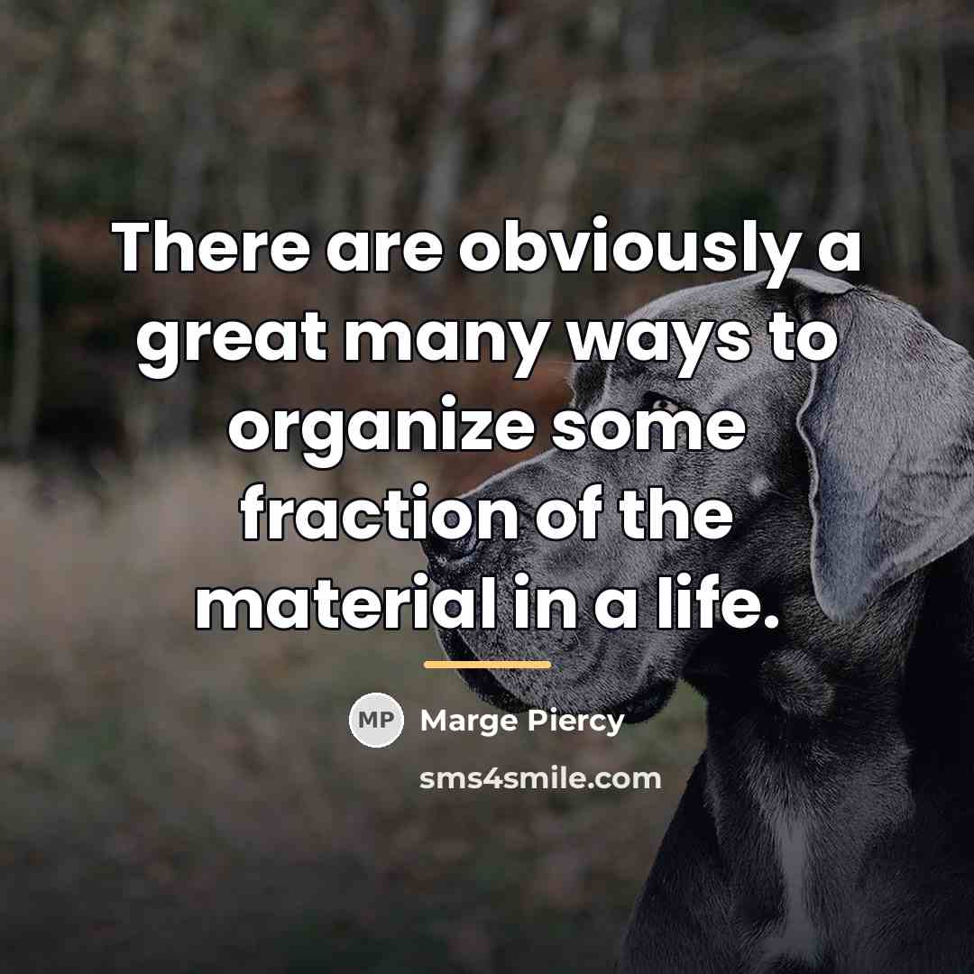 “There are obviously a great many ways to organize some…” quote by Marge Piercy