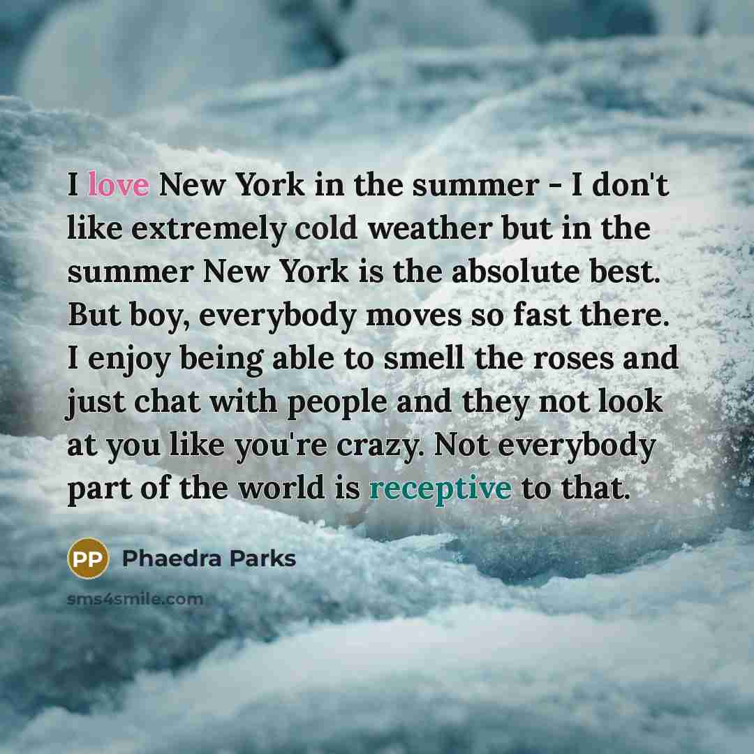 “I love New York in the summer - I don't…” quote by Phaedra Parks