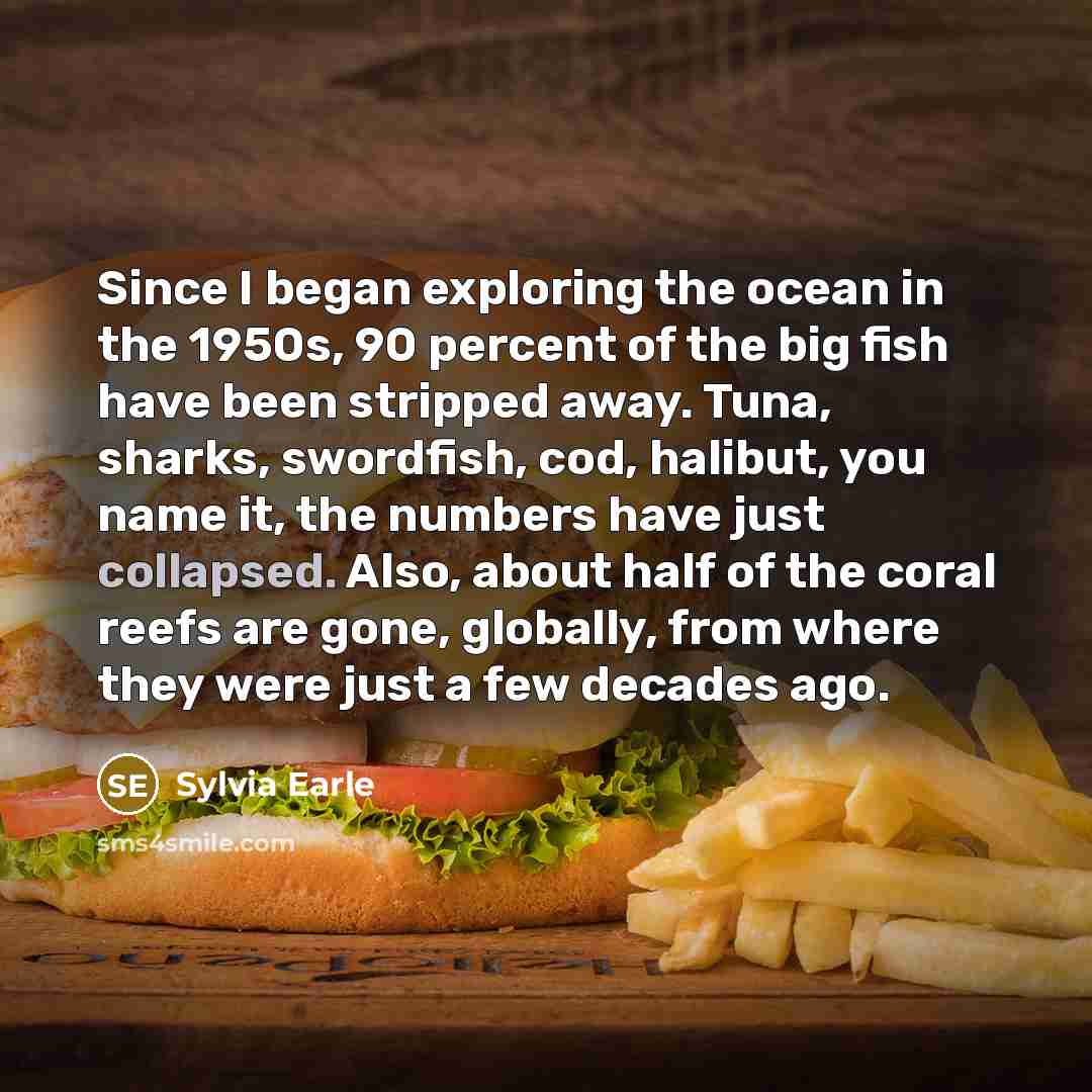 “Since I began exploring the ocean in the 1950s, 90…” quote by Sylvia Earle
