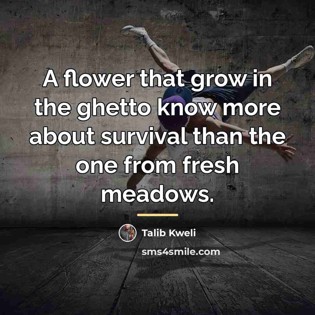 “A flower that grow in the ghetto know more about…” quote by Talib Kweli