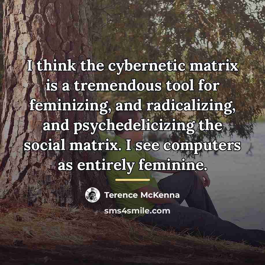 “I think the cybernetic matrix is a tremendous tool for…” quote by Terence McKenna