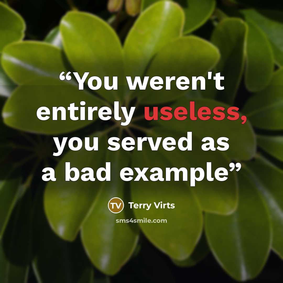 “You weren't entirely useless, you served as a bad example” quote by Terry Virts