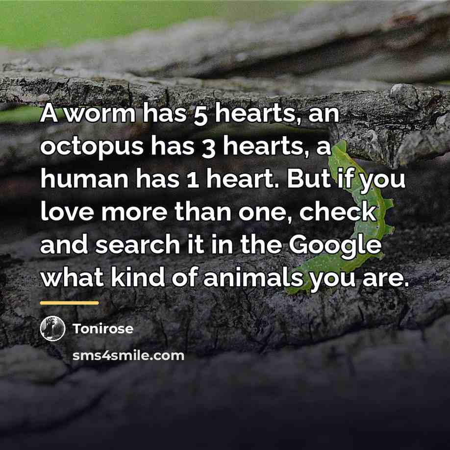 “A worm has 5 hearts, an octopus has 3 hearts,…” quote by Tonirose