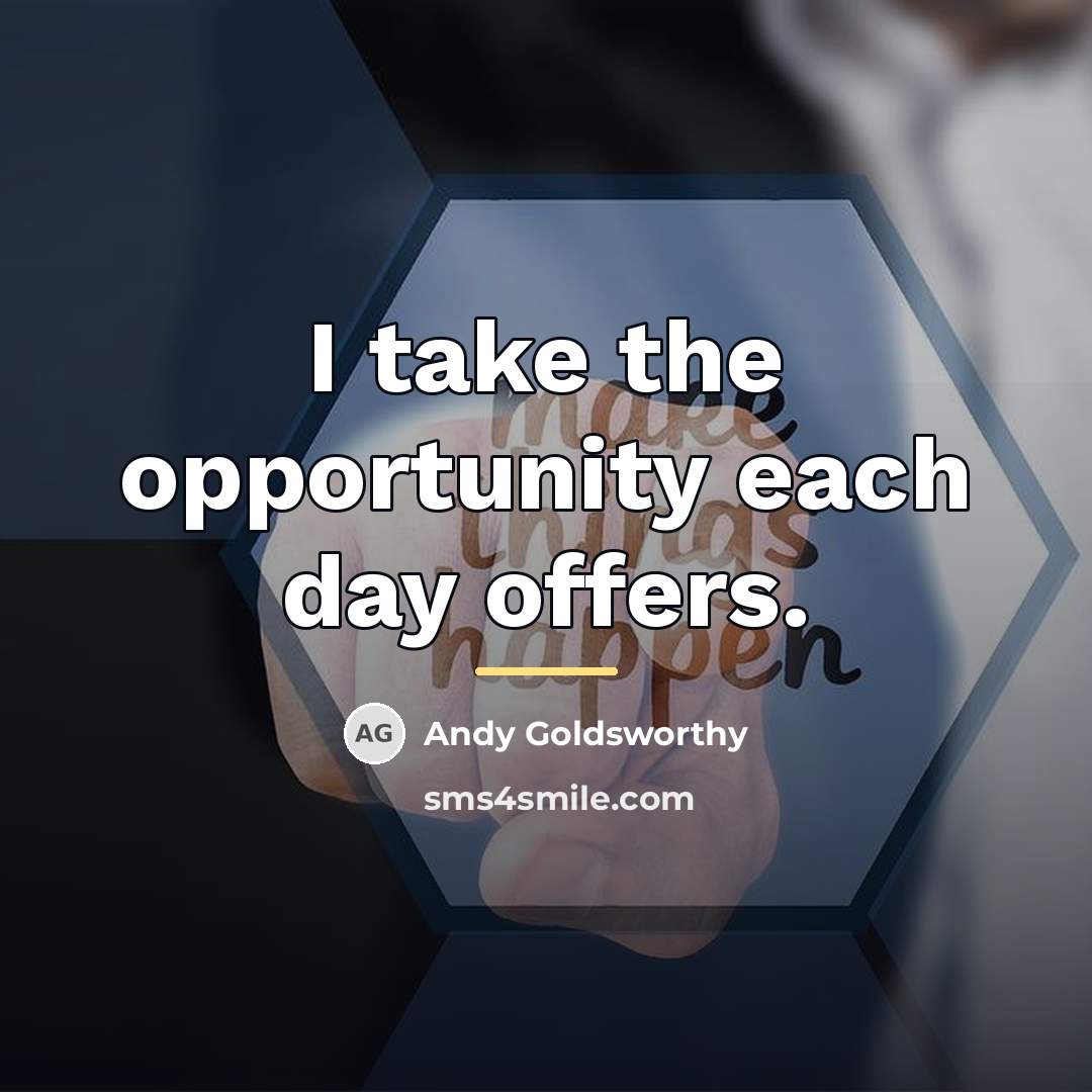 “I take the opportunity each day offers.…” quote by Andy Goldsworthy