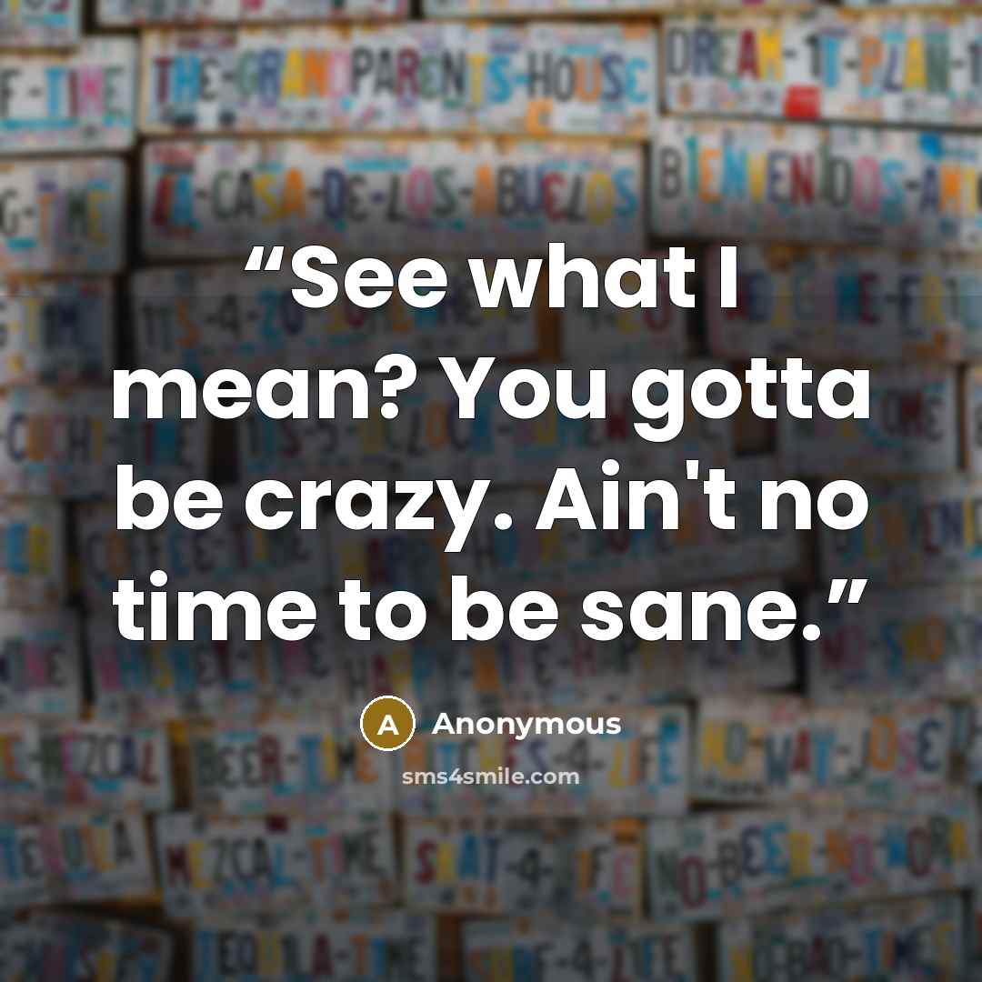 “See what I mean? You gotta be crazy. Ain't no time to be sane.” quote by Anonymous