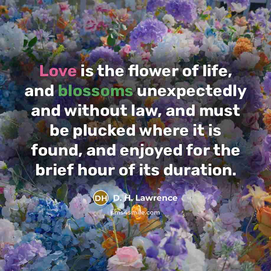 “Love is the flower of life, and blossoms unexpectedly and…” quote by D. H. Lawrence