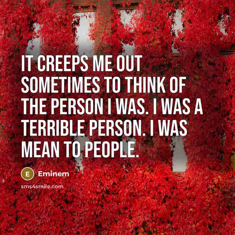 “It creeps me out sometimes to think of the person…” quote by Eminem