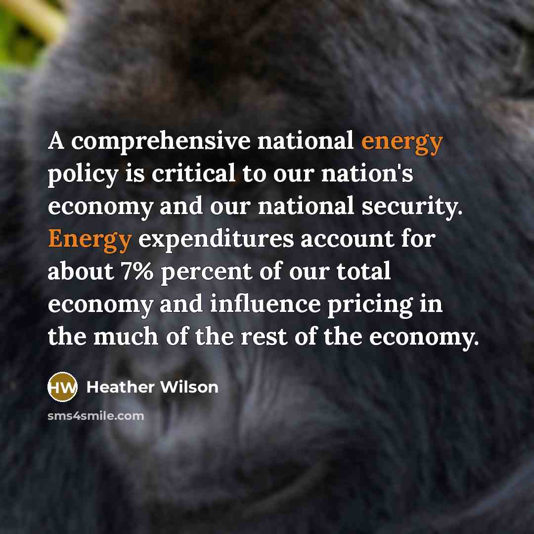 “A comprehensive national energy policy is critical to our nation's…” quote by Heather Wilson
