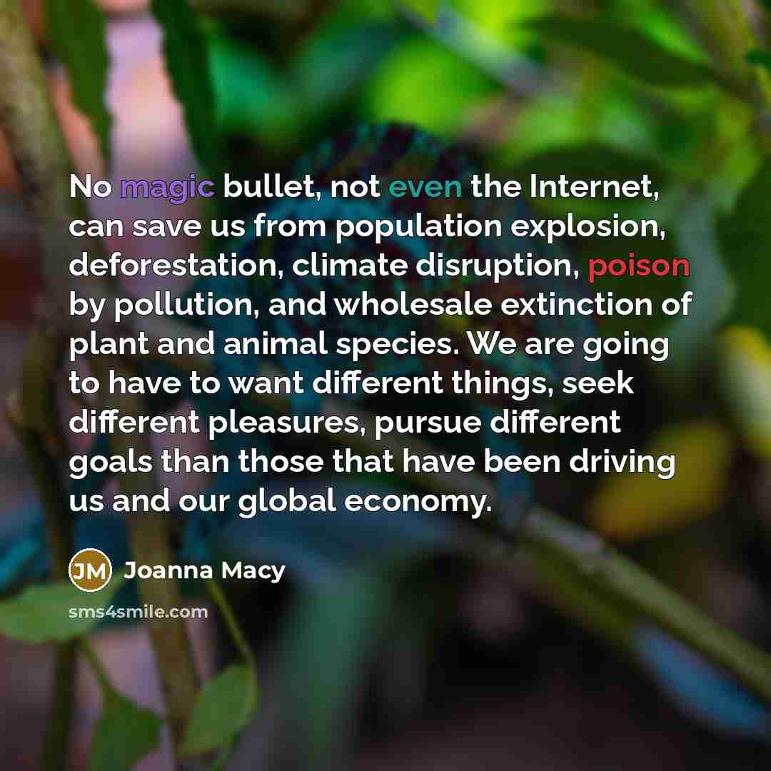 “No magic bullet, not even the Internet, can save us…” quote by Joanna Macy