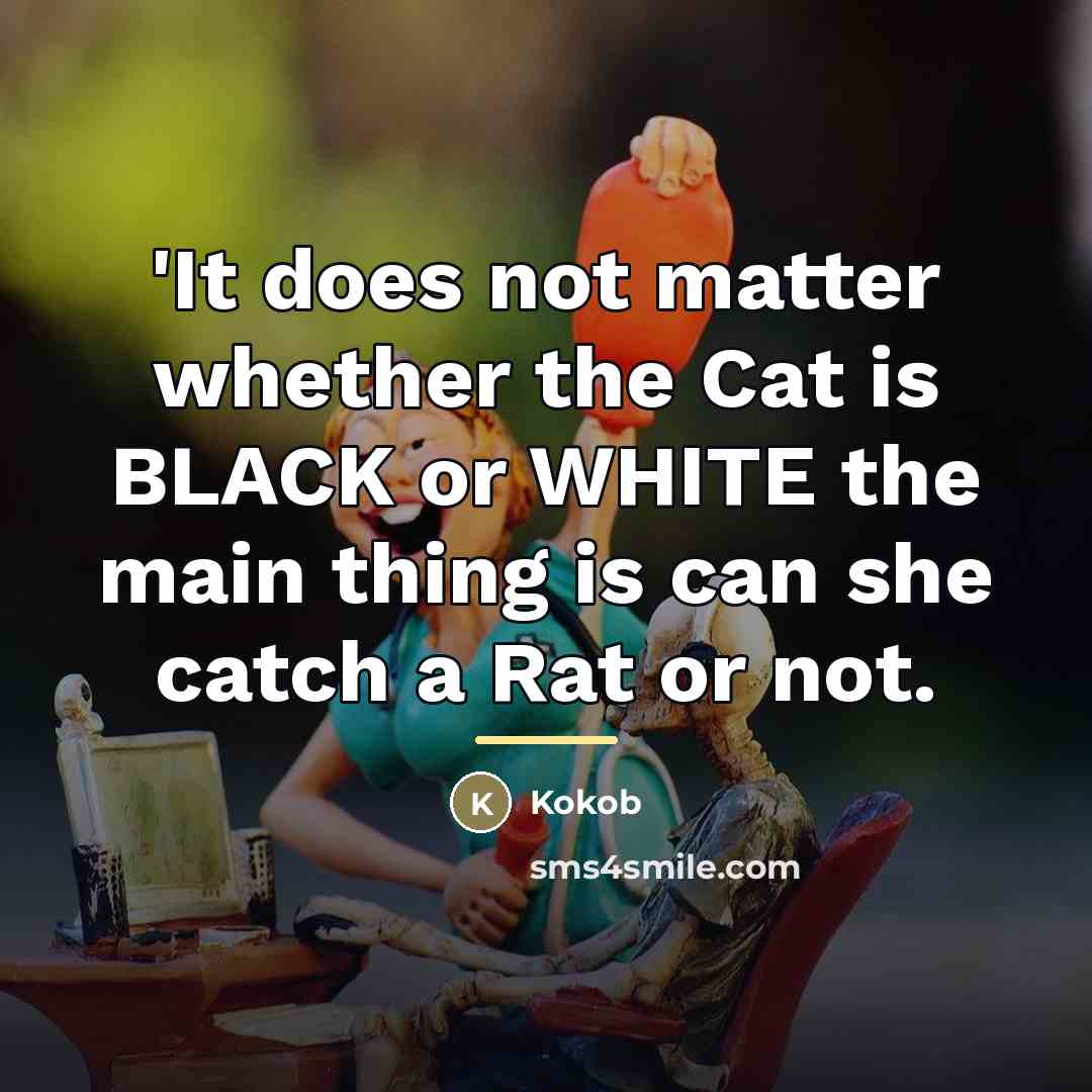 “'It does not matter whether the Cat is BLACK or…” quote by Kokob