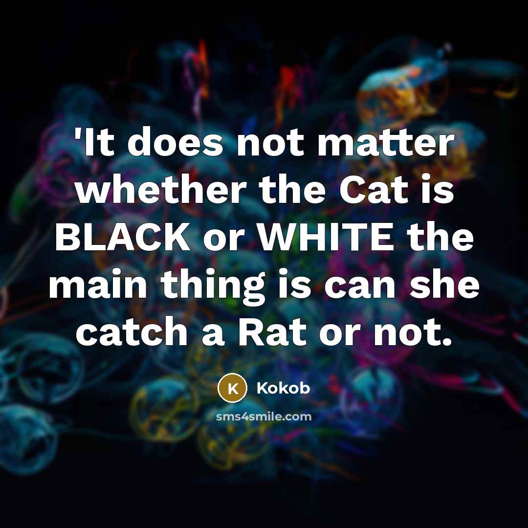 “'It does not matter whether the Cat is BLACK or WHITE the main thing is can she catch a Rat or not.” quote by Kokob