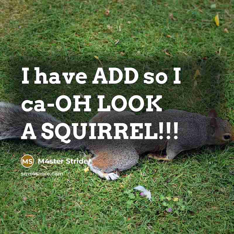 “I have ADD so I ca-OH LOOK A SQUIRREL!!!” quote by M4ster Strider