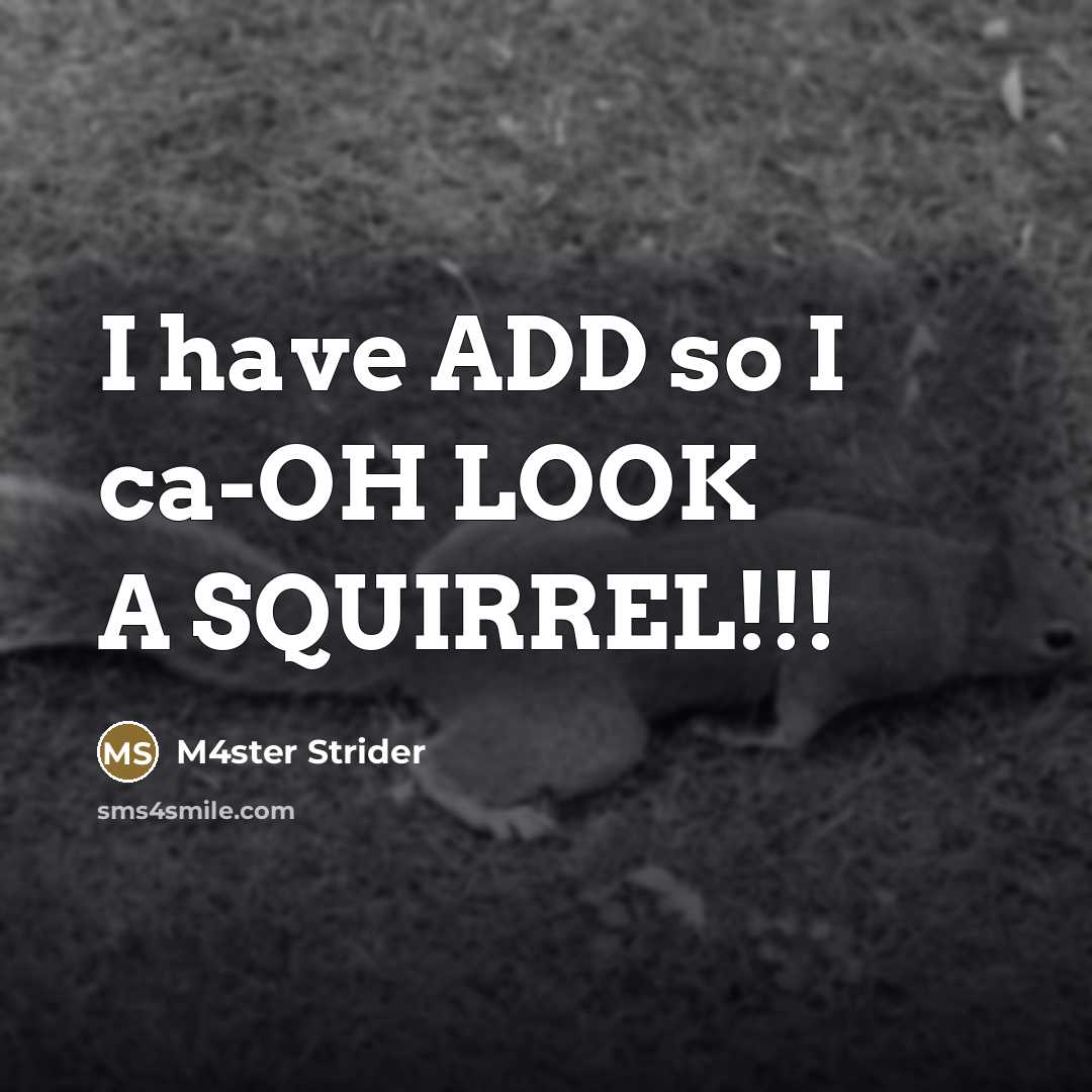 “I have ADD so I ca-OH LOOK A SQUIRREL!!!…” quote by M4ster Strider