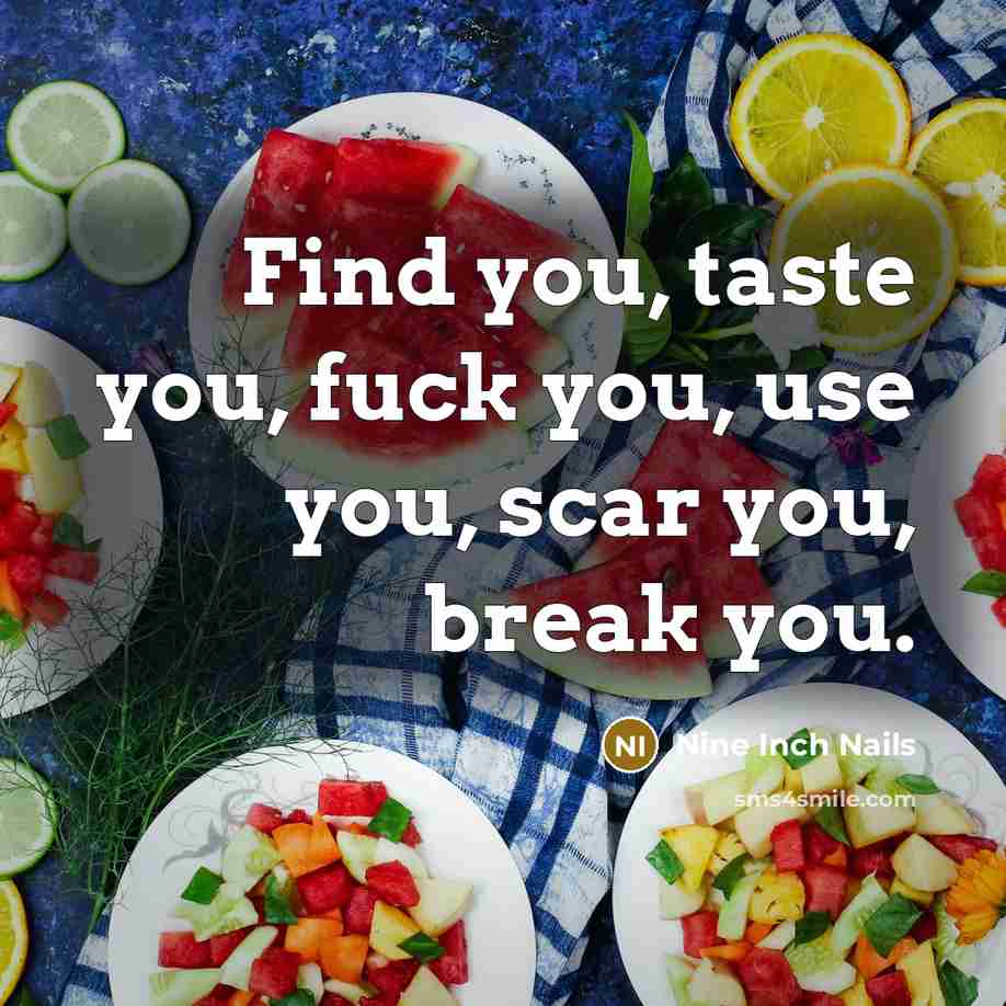 “Find you, taste you, fuck you, use you, scar you,…” quote by Nine Inch Nails