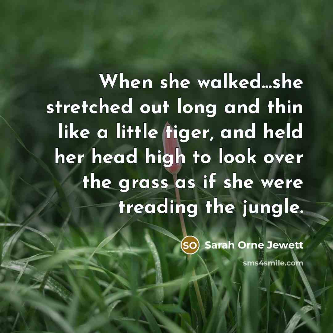 “When she walked...she stretched out long and thin like a…” quote by Sarah Orne Jewett