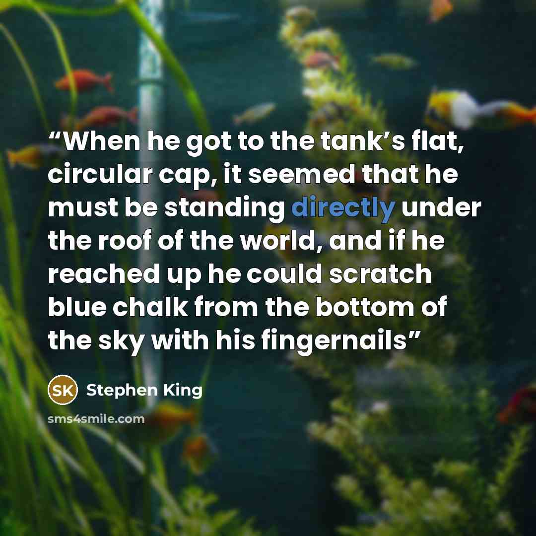 “When he got to the tank’s flat, circular cap, it seemed that he must be standing directly under the roof of the world, and if he reached up he could scratch blue chalk from the bottom of the sky with his fingernails” quote by Stephen King