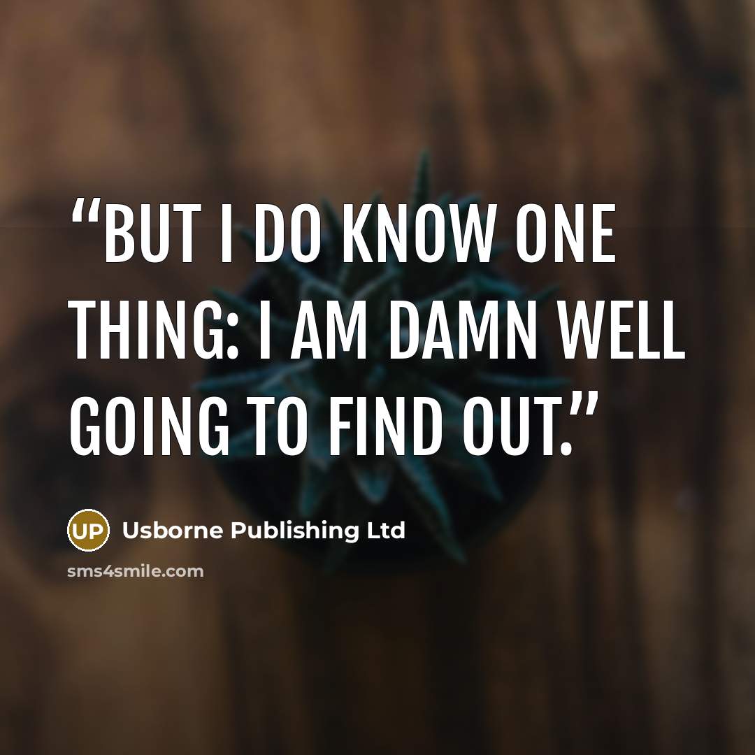 “But I do know one thing: I am damn well going to find out.” quote by Usborne Publishing Ltd