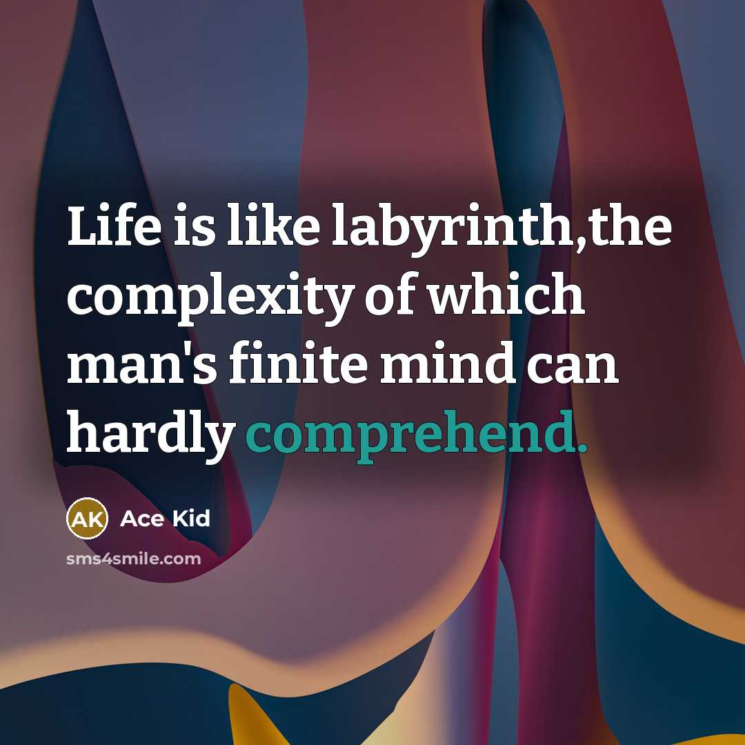 “Life is like labyrinth,the complexity of which man's finite mind can hardly comprehend.” quote by Ace Kid