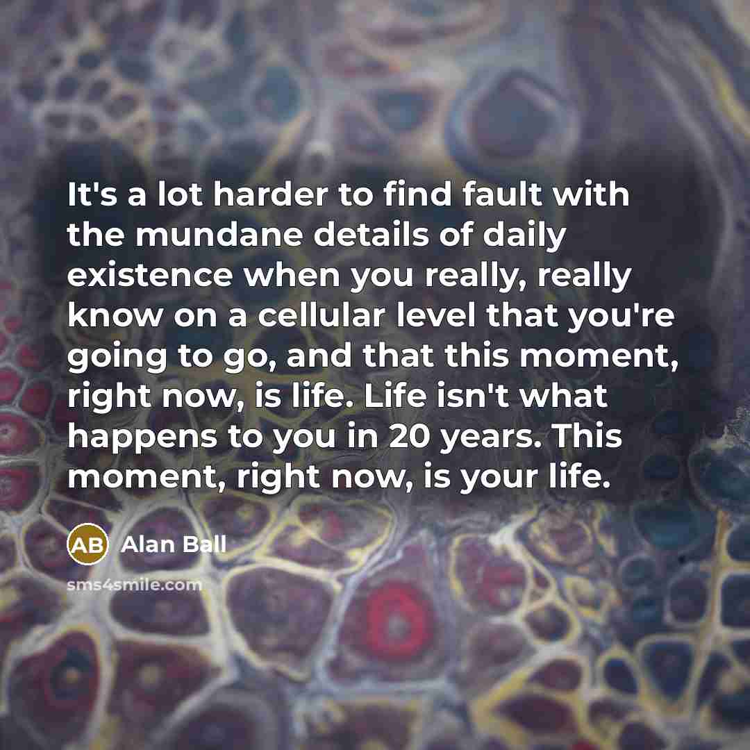 “It's a lot harder to find fault with the mundane…” quote by Alan Ball