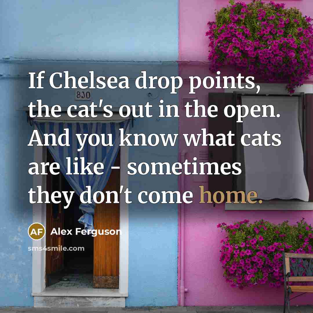 “If Chelsea drop points, the cat's out in the open.…” quote by Alex Ferguson