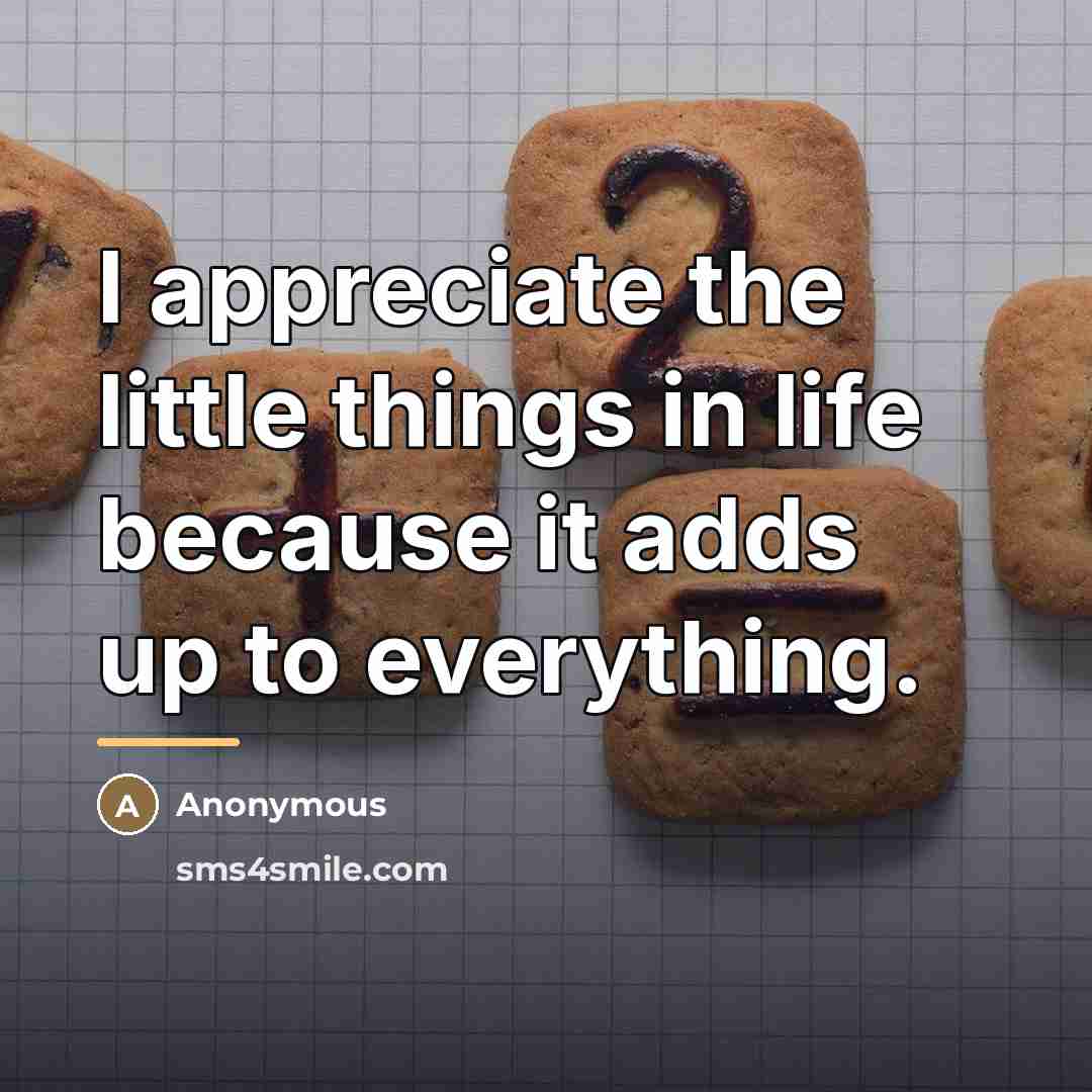 “I appreciate the little things in life because it adds…” quote by Anonymous