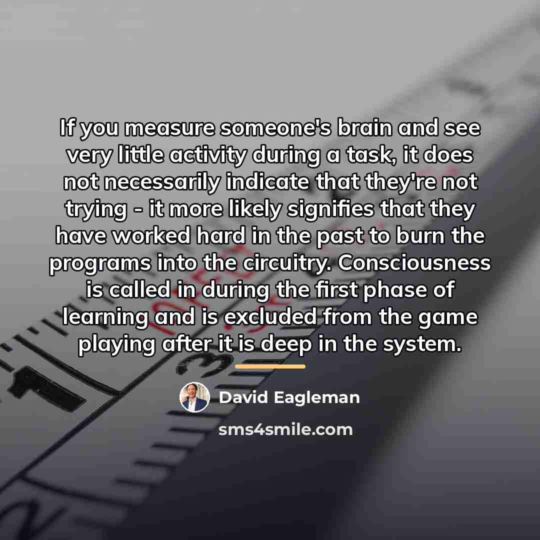 “If you measure someone's brain and see very little activity…” quote by David Eagleman