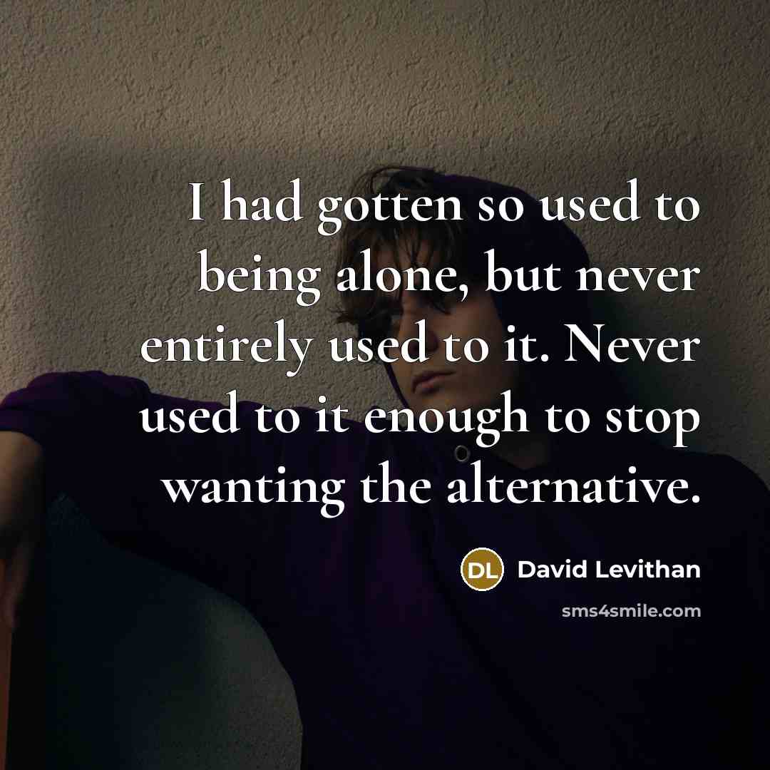 “I had gotten so used to being alone, but never entirely used to it. Never used to it enough to stop wanting the alternative.” quote by David Levithan