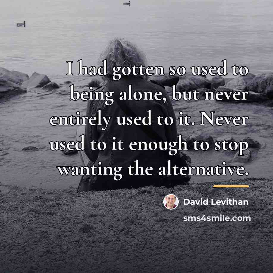 “I had gotten so used to being alone, but never…” quote by David Levithan