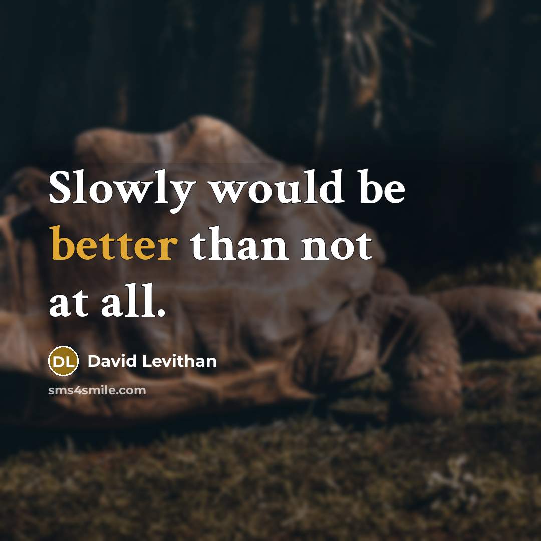 “Slowly would be better than not at all.” quote by David Levithan